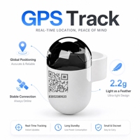 Traceur Bluetooth robuste de 2,2 g, dispositif de suivi des oiseaux pour la conservation des espèces menacées