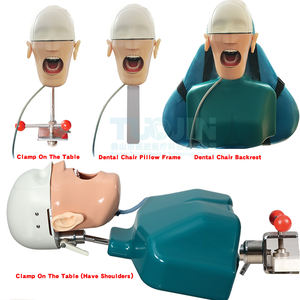 C1 denti dentali modello di simulazione modello di testa odontoiatria manichino testa fantasma Sennior con Torso per insegnamento orale dentale <span class=keywords><strong>Phantom</strong></span> - Product Image 1