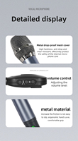 Microphone à condensateur sans fil professionnel Aidi de haute qualité 2.4G pour chant et scène, en métal, portable, rechargeable, bon prix