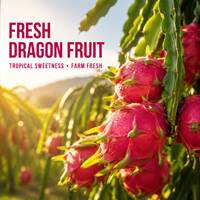 Mingtai Chinese Gekweekte Verse Drakenvrucht Rood Wit Vlees Rijk aan Vitamine C Verfrissende Smaak Super Kwaliteit Groothandel Bulk Leverancier