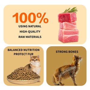 Оптовая продажа высококачественного сухого корма для собак и кошек с высоким содержанием белка и низким содержанием жира от производителя OEM/ODM. Здоровый сухой корм для кошек. - Product Image 4