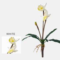Model Penjualan Bunga Piphidium Paphiopedilum Berkualitas Tinggi, Desain Floral untuk Ruangan, Dekorasi Rumah Anggrek