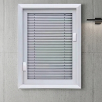 Fenêtre à persiennes en alliage d'aluminium, double vitrage, design moderne, occultante, isolante, certifiée Energy Star, coulissante en acier inoxydable