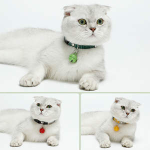 Correa de nailon para cachorros y gatos, Collar de identificación antipérdida con campana para el hogar, collar con letras antipérdida para mascotas, Correa - Product Image 6