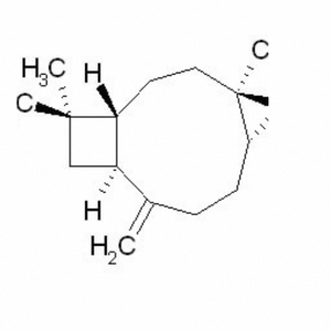 Óxido de Cariophylene Amaderado Profundo con Fuerza Fijadora para Composiciones de Fragancias Duraderas y Mejora del Aroma - Product Image 1