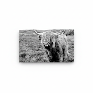 Highland Cow <b>Canvas</b> Print: Scottish Cattle <b>Wall</b> Decor, Elegant Artwork,WRAPPED <b>CANVAS</b> - Product Image 2