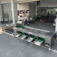 Roller Sizer Cherry Tomaat Sorteermachine Fruit Sorteermachine