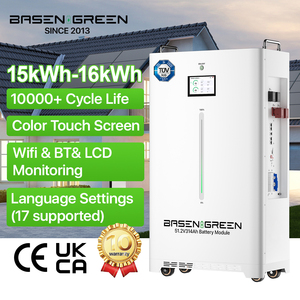 EU Stock 51.2V 48V 230Ah 300Ah 314Ah 11kWh 15kWh 16kWh Wandgemonteerd Lithium Batterij Zonne-energiesysteem LifePO4 Batterij - Product Image 1