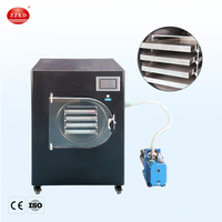 Congélateur commercial pour fruits / Déshydrateur par congélation sous vide / Lyophilisateur alimentaire