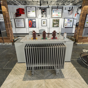 Новейший дизайн: Трансформатор масляный трехфазный 10 кВ, 50 кВ, 100 кВА, 400 кВА, 200 кВА, 11 кВ, силовой, масляный - Product Image 5