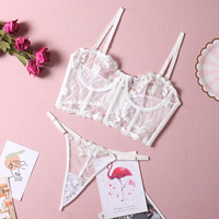 Brillant Ashley Lingerie Sexy femmes ensemble de sous-vêtements Push up soutien-gorge dentelle transparente soutien-gorge culotte