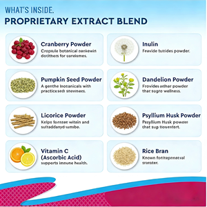 Suplemento Nutricional para el Cuidado Renal de Perros y Gatos | Con arándanos, inulina, semilla de plátano, <span class=keywords><strong>regaliz</strong></span>, vitamina C y polvo de semilla de calabaza - Product Image 2