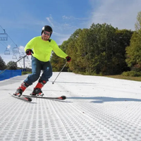Dalles de sol en plastique LLDPE pour piste de ski artificielle, tapis de ski, revêtement de sol pour sports de neige et jardin