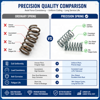 ISO Certified Custom Steel Spring Non-Standard Precision Compression Spring