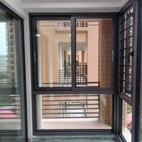 Ventana de Vidrio Aislante de Doble Capa con Perfil de Aluminio Personalizable y Gran Campo de Visión, con Malla