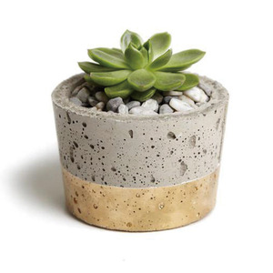 CHL 2020 En Gros mini pot de fleur en béton de ciment artisanat pour la décoration murale - Product Image 1