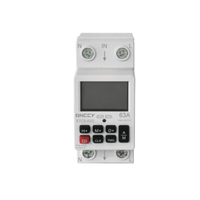 Interruptor de Tiempo Digital de 2 Polos y 63A con 16 Programas de Encendido/Apagado e Indicación LED del Estado del Relé, 1,000,000 Ciclos