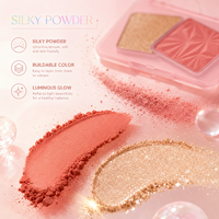 Kit de maquillage portable pour femmes, poudre lissante soyeuse, blush et illuminateur personnalisés avec logo, effet lumineux, vente en gros
