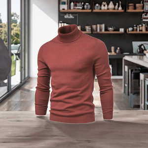 Pull-over décontracté pour <span class=keywords><strong>homme</strong></span>, automne et <span class=keywords><strong>hiver</strong></span>, couleur unie, <span class=keywords><strong>col</strong></span> <span class=keywords><strong>roulé</strong></span>, tricot, nouveau style, pull pour <span class=keywords><strong>homme</strong></span> - Product Image 2