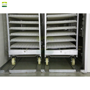 Incubateur tunnel industriel GREAT FARM, équipement d'incubation avicole écoénergétique, 38400 œufs - Product Image 6