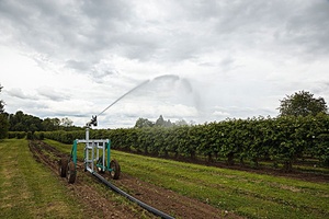 Sistema de <span class=keywords><strong>riego</strong></span> por aspersión de 2 pulgadas/50mm Manguera plana para <span class=keywords><strong>Netafim</strong></span> agrícola - Product Image 3