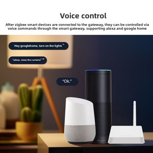 เกตเวย์แบบใช้สายกราฟฟิตีพร้อมสัญญาณที่ปรับปรุงด้วยเสาอากาศระบบควบคุมบ้านอัจฉริยะซิกบี - Product Image 3