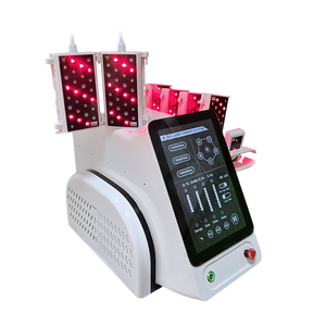 بيع بالجملة 6D محمول أحمر بارد مصدر 6 أطوال موجية فعالة علاج الذراع الأرداف مع 10 منصات - Product Image 2