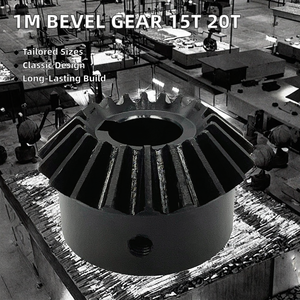 En stock – Engrenage conique 1M 15T/20T à trou standard, pignon conique pour l'industrie, en acier, usiné par hélicoïdalisation - Product Image 2