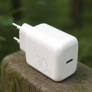 Chargeur USB Type-C PRO LITE 30W Blanc PUTCUSBC30WDYWHI - Product Image 3