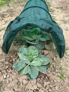 Túnel de Sombra para Jardín Exterior con Marco Metálico Moderno y Protección Contra Insectos para Cultivo Hidropónico - Product Image 4