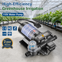Outdoor-Bewässerungssystem 110V AC 6,0 GPM 70 PSI Einstellbarer Druckschalter NSK-Lager 1/2 NPT Automotive Membranpumpe