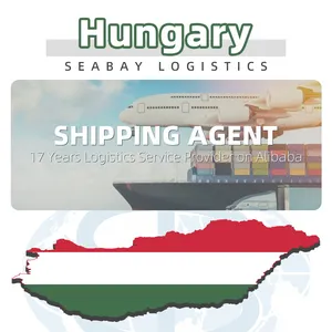 مزود خدمات لوجستية دروبشيبينغ وكلاء في الصين وكيل شحن Ddp الصين إلى المجر تكلفة الشحن إلى المجر
