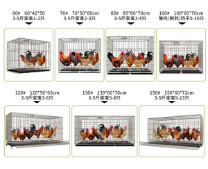 Jaula Plegable para <span class=keywords><strong>Gallinas</strong></span> Ponedoras, Gallinero Plegable Pequeño, Jaula Plegable para Cría de Aves de Corral, Jaula Plegable para <span class=keywords><strong>Gallinas</strong></span> Ponedoras Usada - Product Image 5