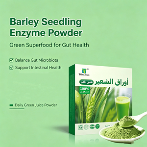 Jus de Barley Vert Wins Town Riche en Fibres Alimentaires Équilibre la Microbiota Intestinale Améliore la Santé Intestinale Poudre Végétale de Jus Vert de Qualité - Product Image 4