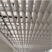 Panneau de toiture à persiennes décoratif moderne en alliage d'aluminium, léger, durable, ventilé, économe en énergie, fourniture OEM ODM