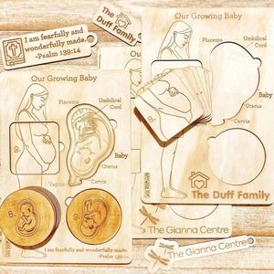 Juego de Madera Preescolar, Juguete Educativo Temprano, Aprendizaje sobre el Cuerpo Humano para Mamás Embarazadas, Rompecabezas Magnéticos 3D de Madera Montessori para Niños Pequeños - Product Image 3