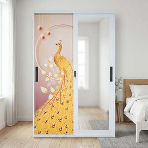 <span class=keywords><strong>Armoire</strong></span> coulissante en acier imprimée à prix abordable, avec miroir intégral, placard métallique anti-rouille pour vêtements, meuble de rangement pour chambre à coucher, idéal pour petit appartement - Product Image 1