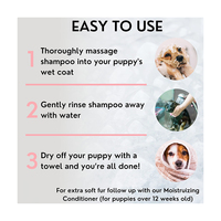 Parfum Vegan Marque Privée Gel Douche Écologique Chiot Larmes Huile de Coco Shampooing Chat Chien