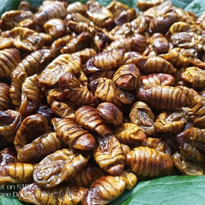 חם מכירת תולעי משי מיובשים גבות חלבון גבוהה לחומינים בעלי חיים - Product Image 5