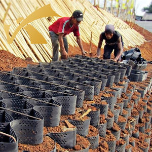 Geocell Hdpe مادة حماية المنحدر مشروع الأراضي الرطبة بنك النهر البيئي - Product Image 1
