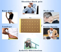 Patchs analgésiques tigre arthrite articulaire douleur rhumatoïde plâtres autocollant entorse musculaire