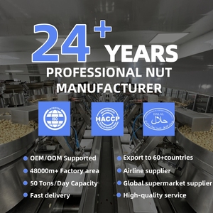 Snack Jumbo đậu phộng 24/28 bán buôn rang đậu phộng 150g đóng hộp đậu phộng OEM thấp moq hỗn hợp các loại hạt khô đậu phộng và hạt - Product Image 6