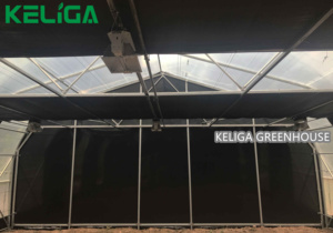 Nhà sản xuất chuyên trong đường hầm nhà kính cho nấm <span class=keywords><strong>Farming</strong></span> - Product Image 5