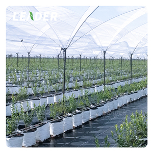 UV estabilizado huerto vivero invernadero agrícola 5 galones bolsa de cultivo cuadrado negro blanco PE suave bolsa de plantación de árboles frutales - Product Image 4