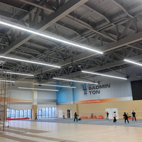 Lumière LED en aluminium anti-éblouissement avec lumière blanche froide pour terrain de badminton, design industriel, dimmable, montage vertical sur les parois latérales
