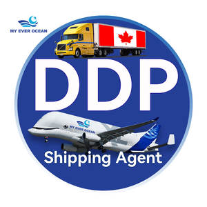 Ever Ocean Camionnage rapide Transporteur Consolidation de cargaison Services logistiques aériens Ddp Agent de livraison de <span class=keywords><strong>Shenzhen</strong></span> vers les États-Unis et le <span class=keywords><strong>Canada</strong></span> - Product Image 1