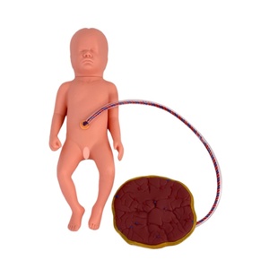 高度な新生児傘コード胎盤ケアモデル新生児ケアManikinフルファンクション新生児シミュレーター - Product Image 1