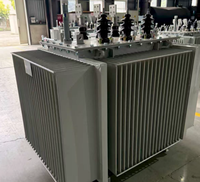 Transformateurs immergés dans l'huile Copper S22-M-1250/10