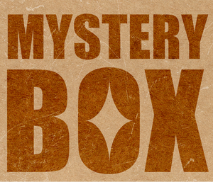 Coque <span class=keywords><strong>de</strong></span> téléphone mystère porte-bonheur, <span class=keywords><strong>style</strong></span> mignon Ins, antichute, coque <span class=keywords><strong>de</strong></span> protection souple pour iPhone 17/16/15/14/13/12/11/Pro/Pro Max - Product Image 1