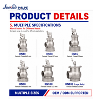 Vanne flottante hydraulique en acier inoxydable 304 pour réservoir d'eau, contrôle automatique du niveau d'eau, filetage femelle DN40-DN100, vanne OEM personnalisée